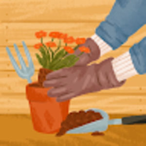 Meet your Posher, Bella